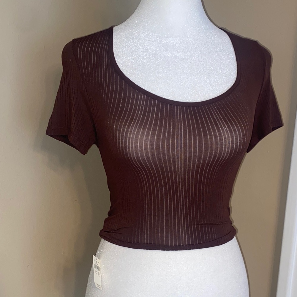 NWT superChill x AERIE Super Stretchy Semi Sheer Crop Tee XS